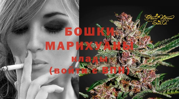 PSILOCYBIN Абдулино