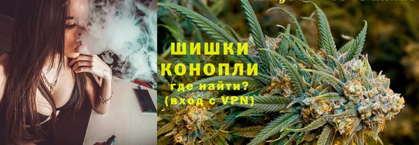 PSILOCYBIN Абдулино