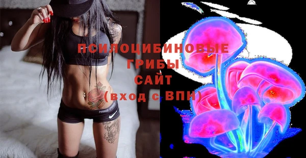 PSILOCYBIN Абдулино