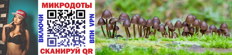 Галлюциногенные грибы Magic Shrooms  наркотики  Щёкино 